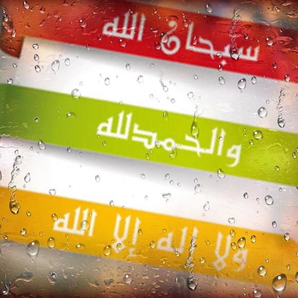marwa_oshein
